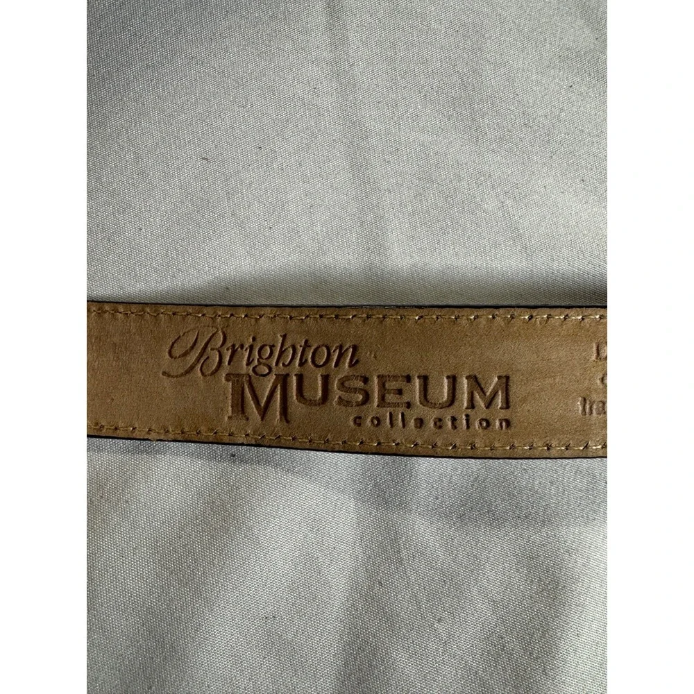 Brighton museum collection